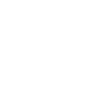 Elektromobilität Icon